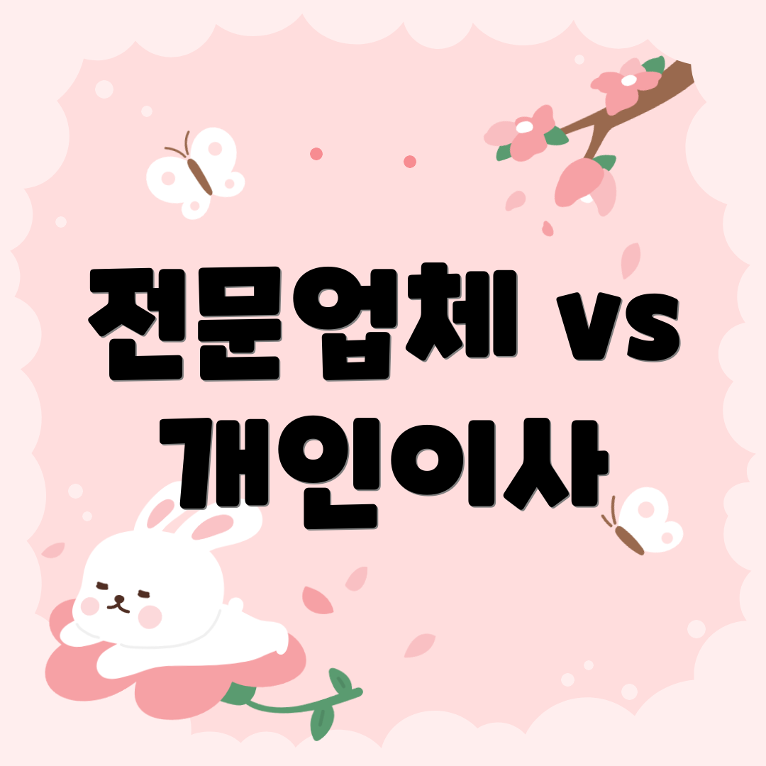 전문업체 vs 개인이사