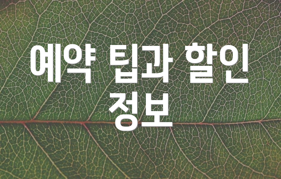 예약 팁과 할인 정보