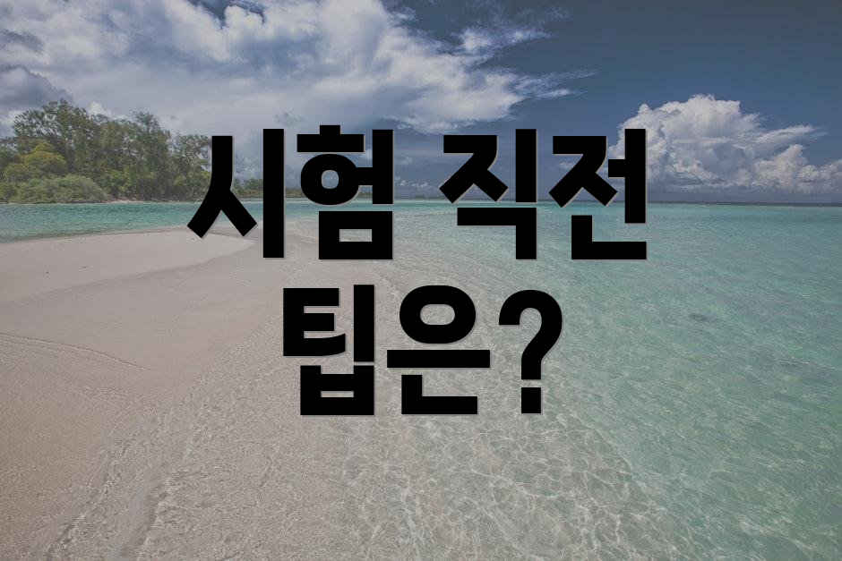 시험 직전 팁은?