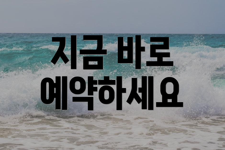 지금 바로 예약하세요