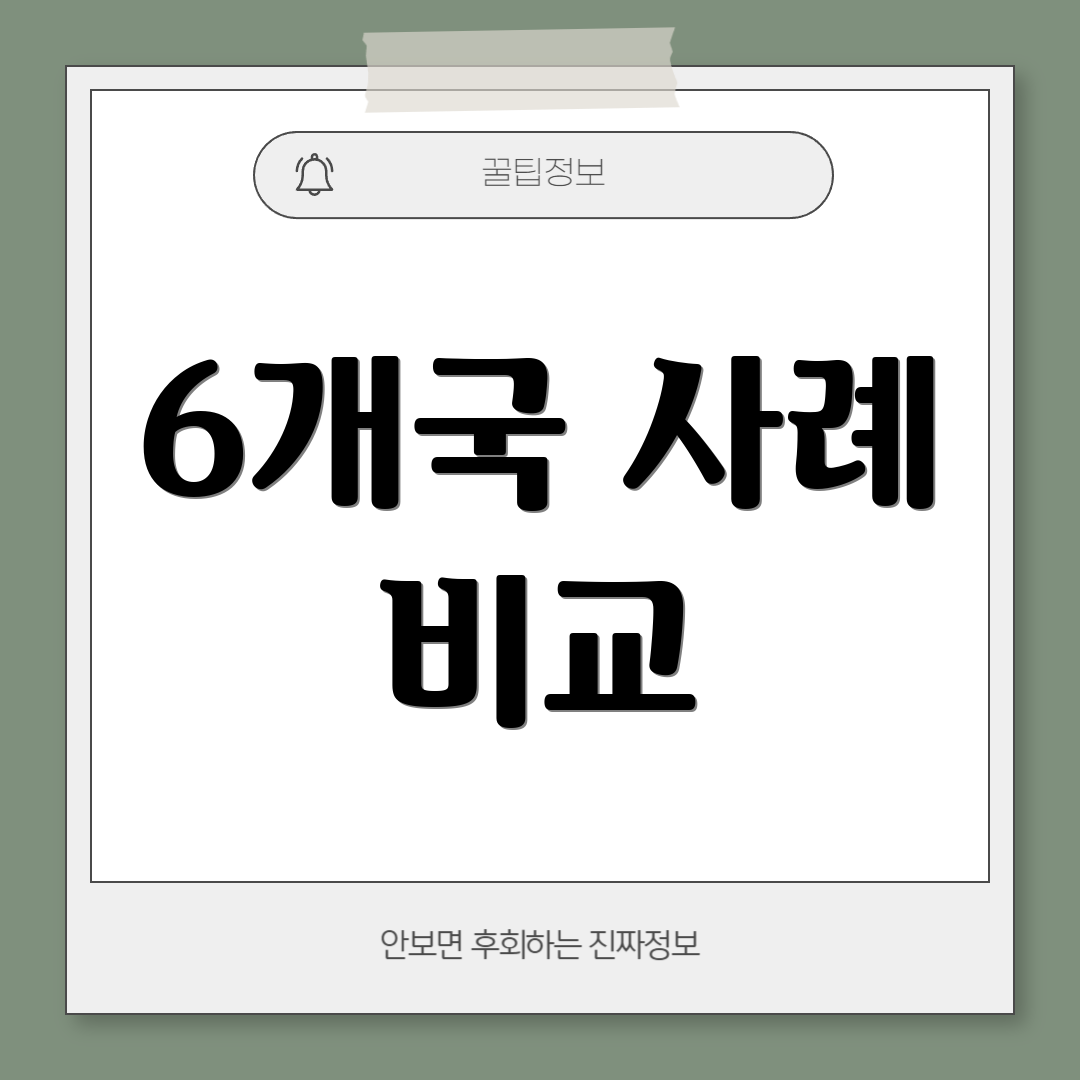 6개국 사례 비교
