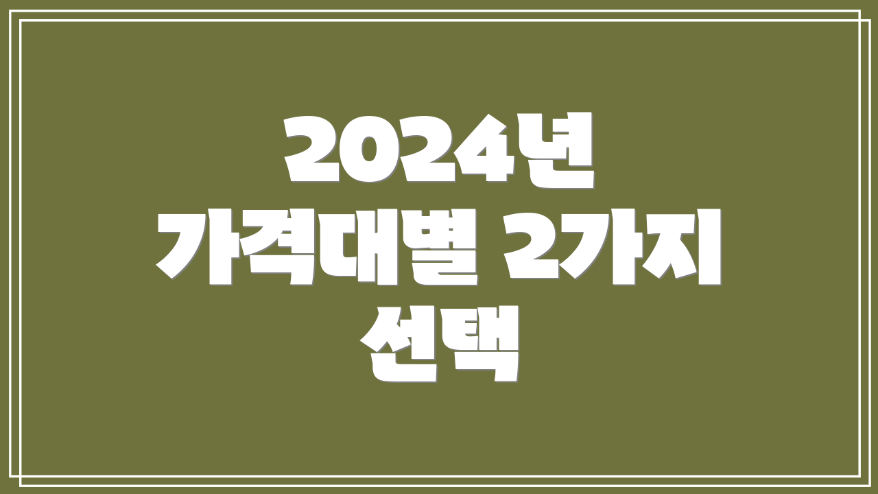 2024년 가격대별 2가지 선택