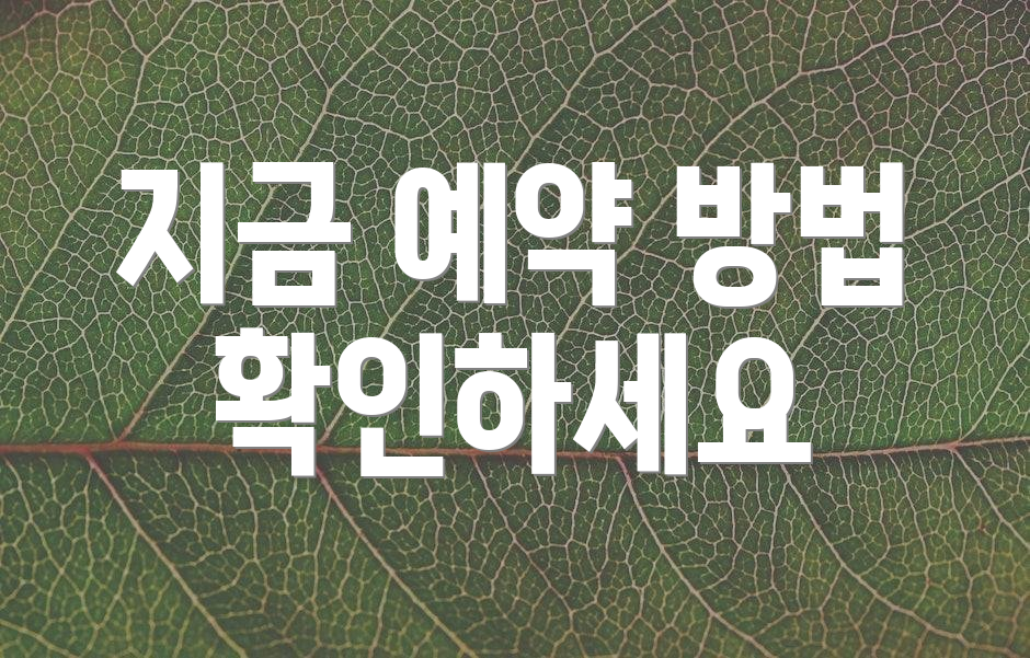 지금 예약 방법 확인하세요