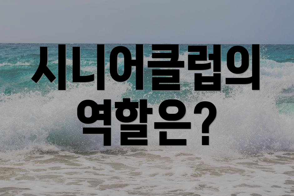 시니어클럽의 역할은?