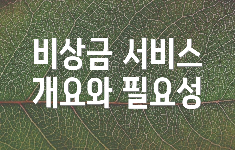 비상금 서비스 개요와 필요성