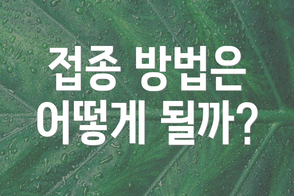 접종 방법은 어떻게 될까?