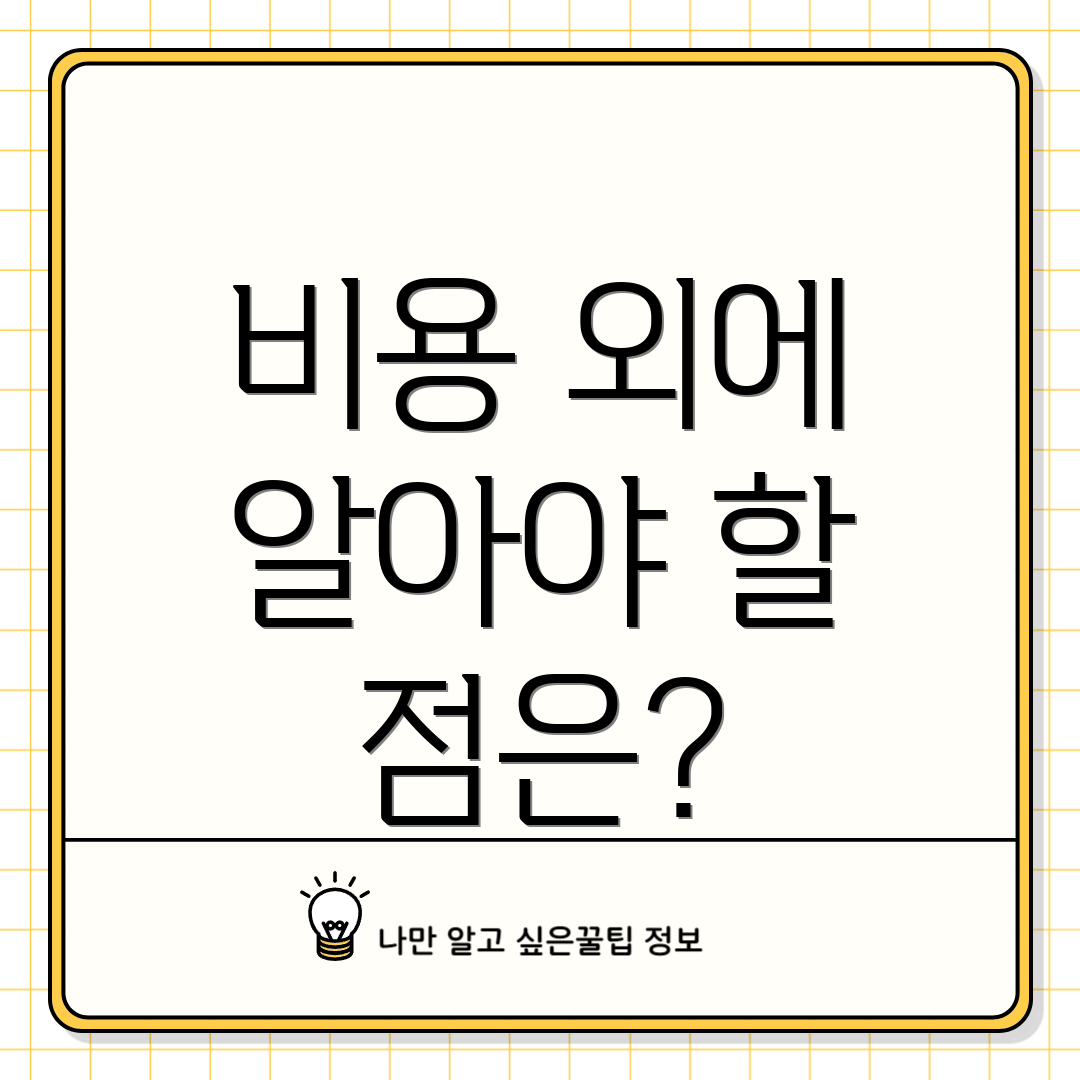 비용 외에 알아야 할 점은?