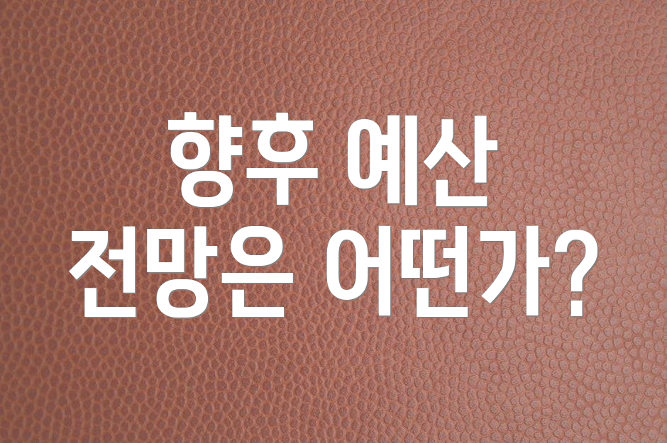 향후 예산 전망은 어떤가?