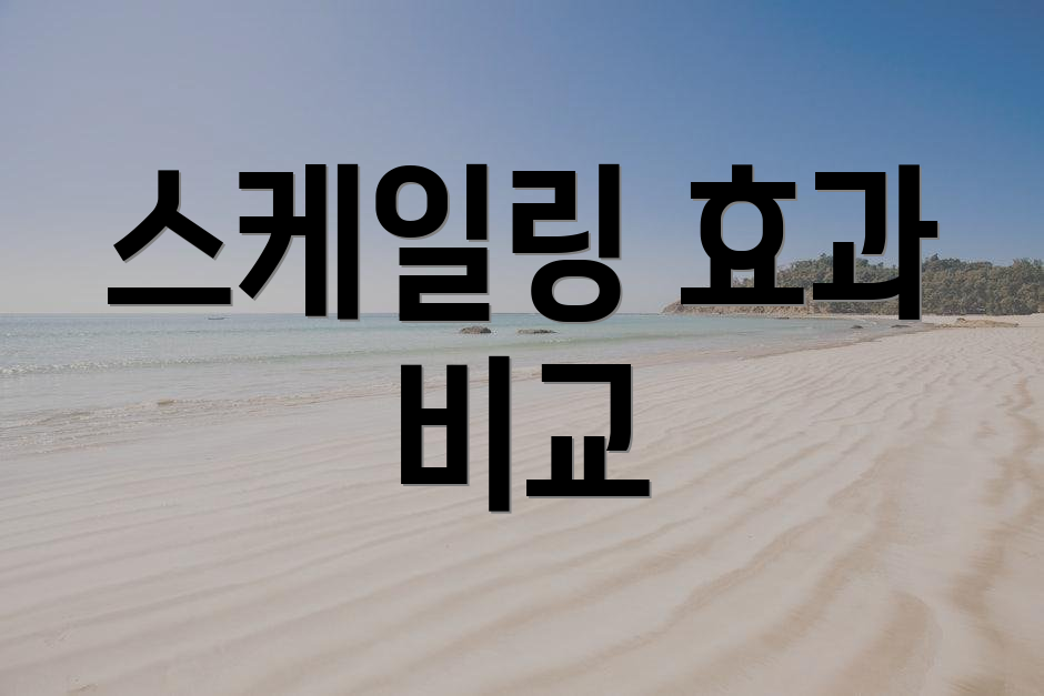 스케일링 효과 비교