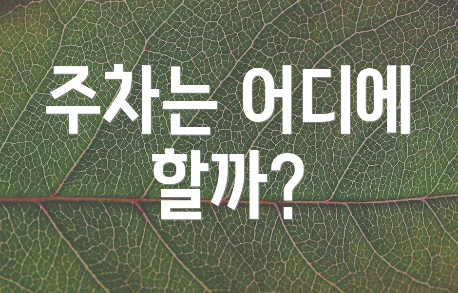 주차는 어디에 할까?