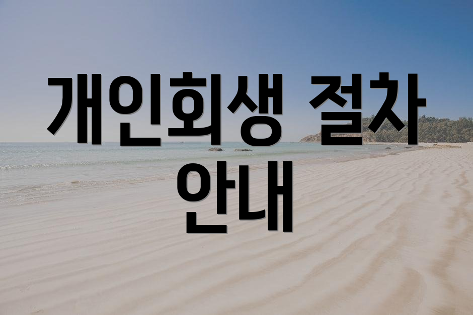 개인회생 절차 안내