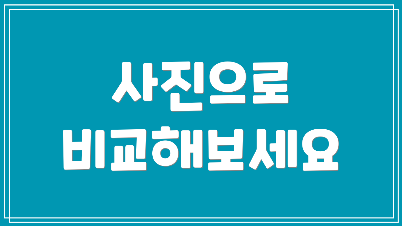 사진으로 비교해보세요