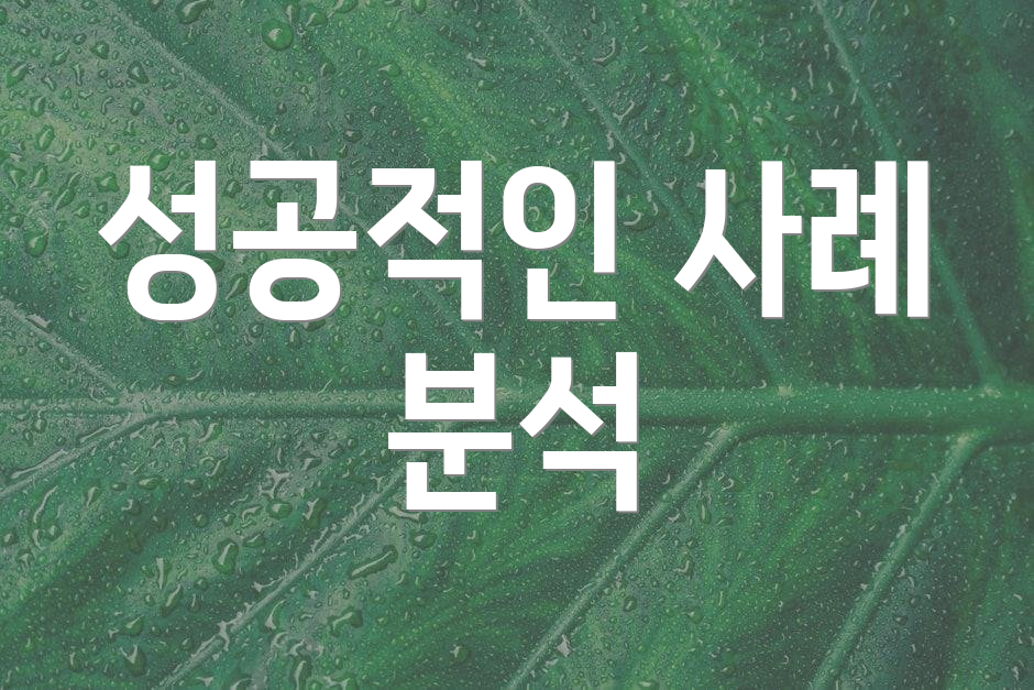 성공적인 사례 분석