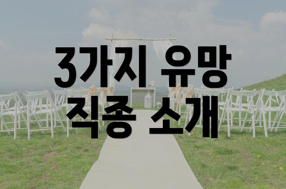 3가지 유망 직종 소개