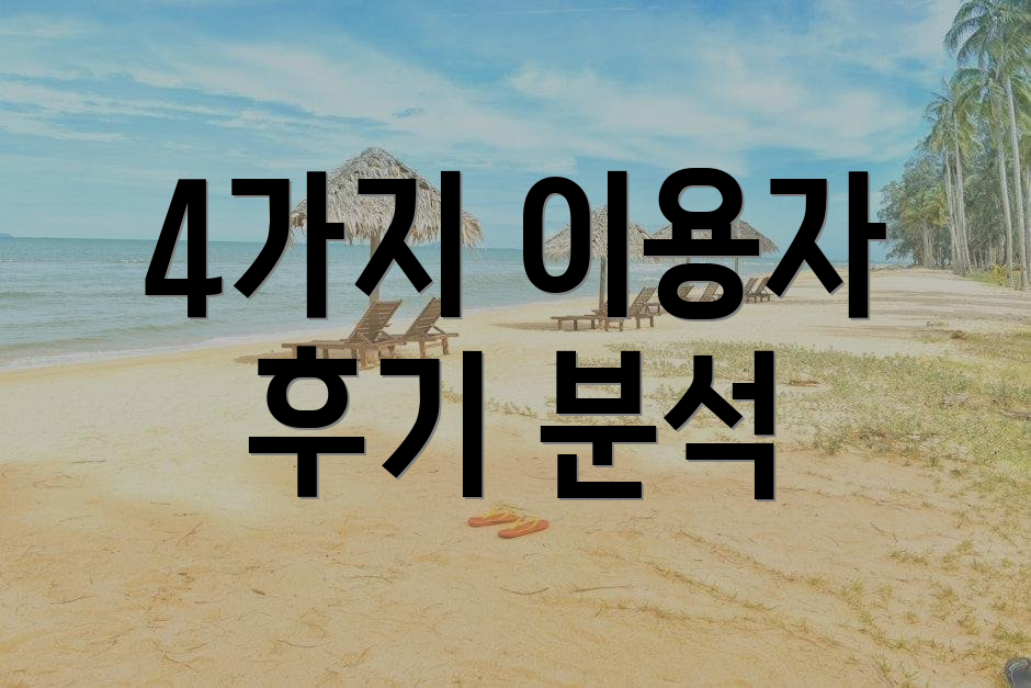 4가지 이용자 후기 분석