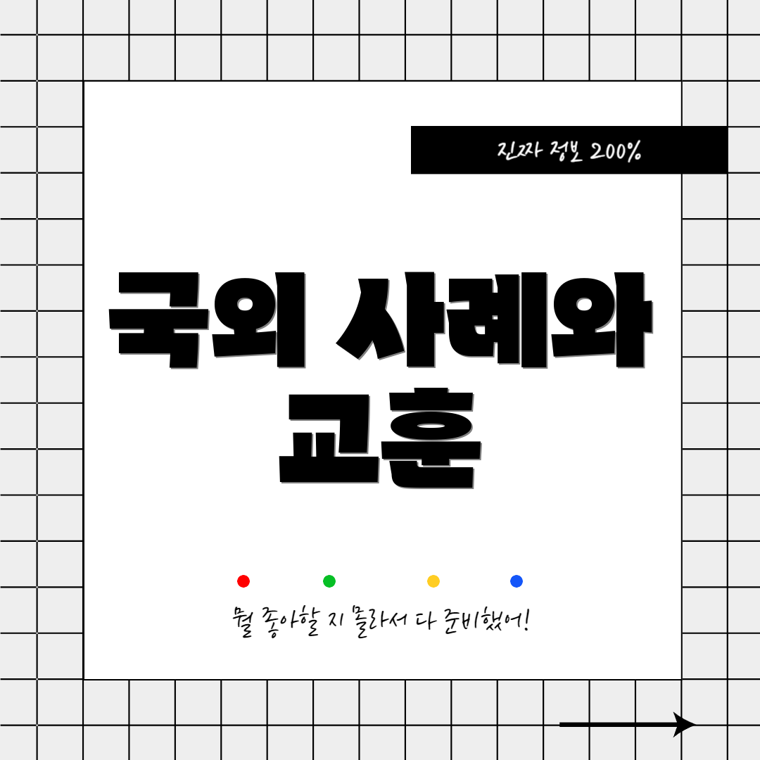 국외 사례와 교훈