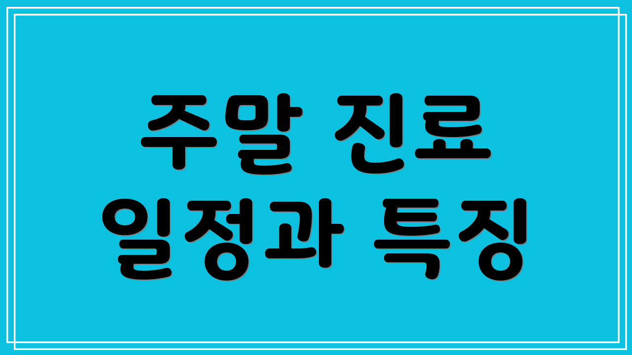 주말 진료 일정과 특징