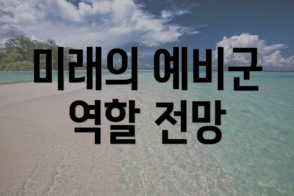 미래의 예비군 역할 전망