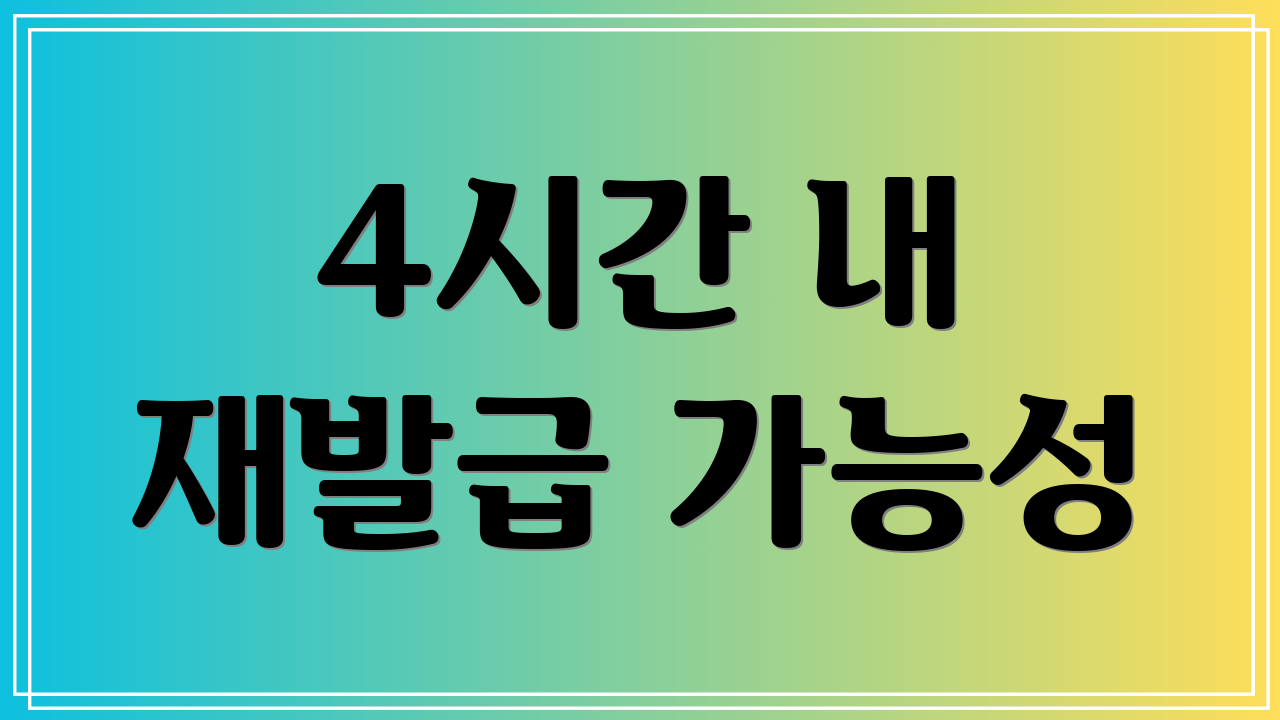 4시간 내 재발급 가능성