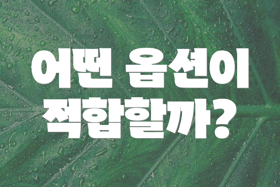 어떤 옵션이 적합할까?