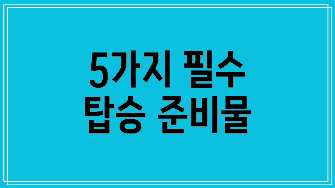 5가지 필수 탑승 준비물
