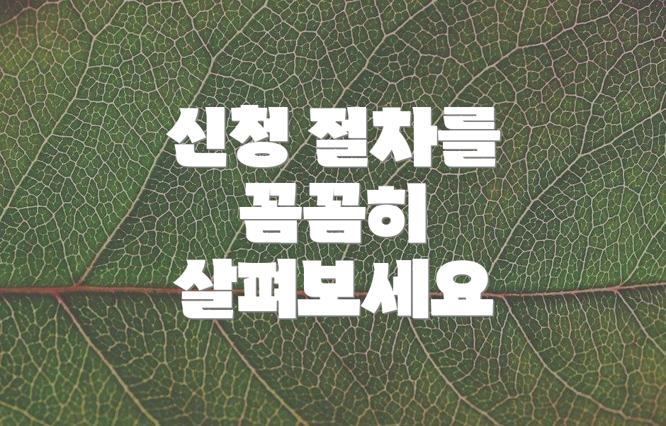 신청 절차를 꼼꼼히 살펴보세요
