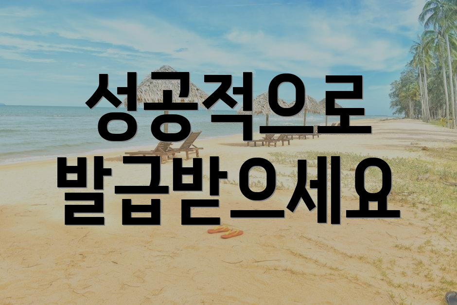 성공적으로 발급받으세요