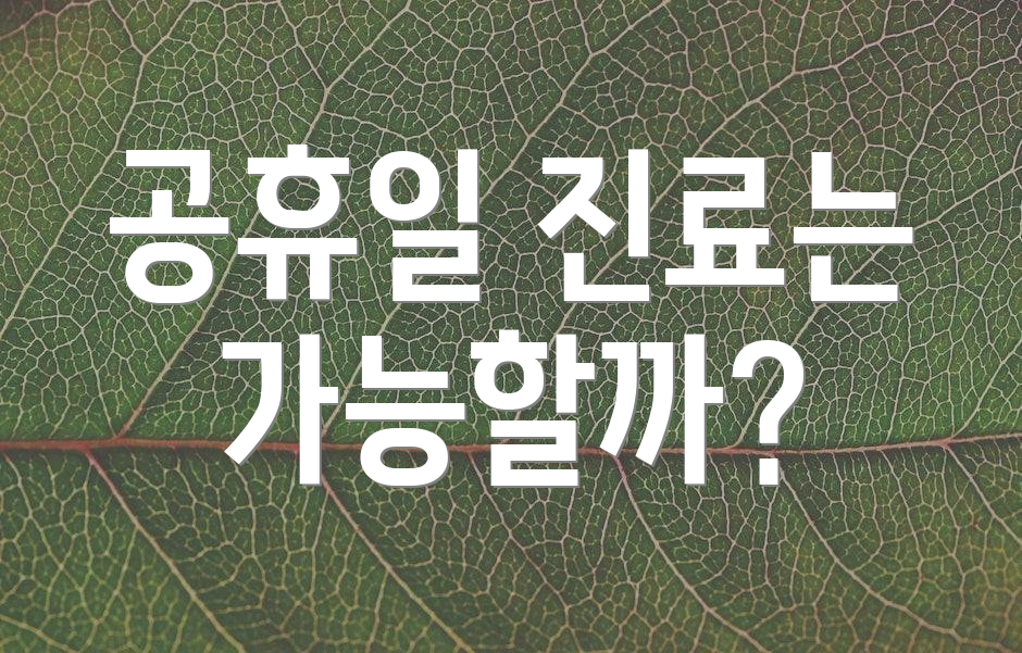 공휴일 진료는 가능할까?