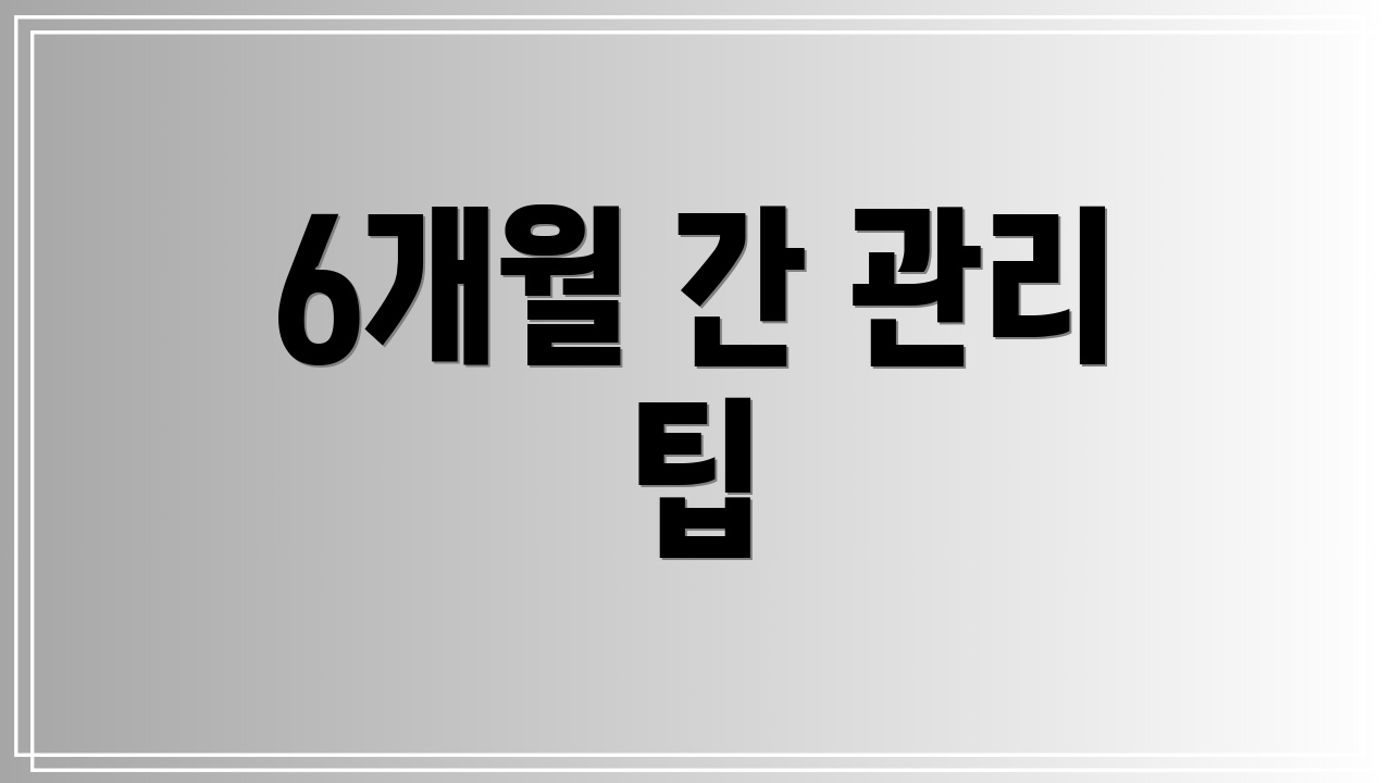 6개월 간 관리 팁