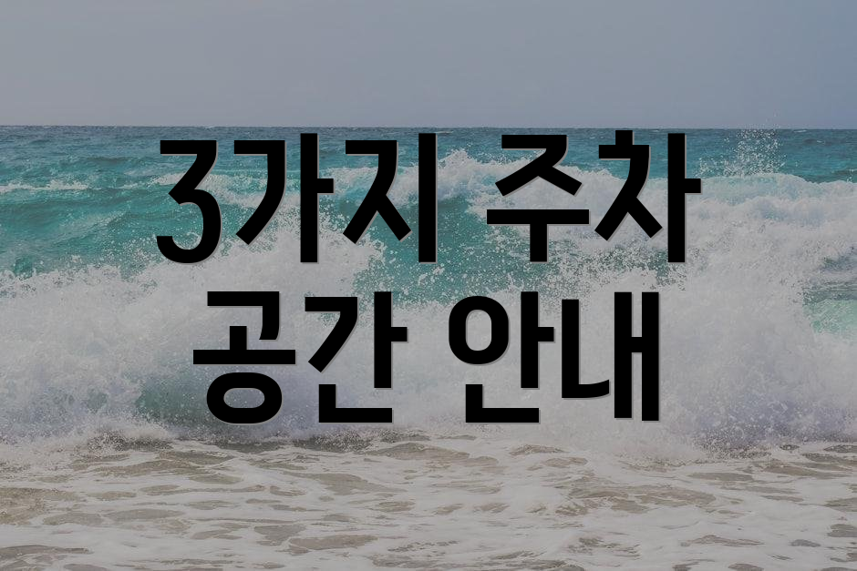 3가지 주차 공간 안내