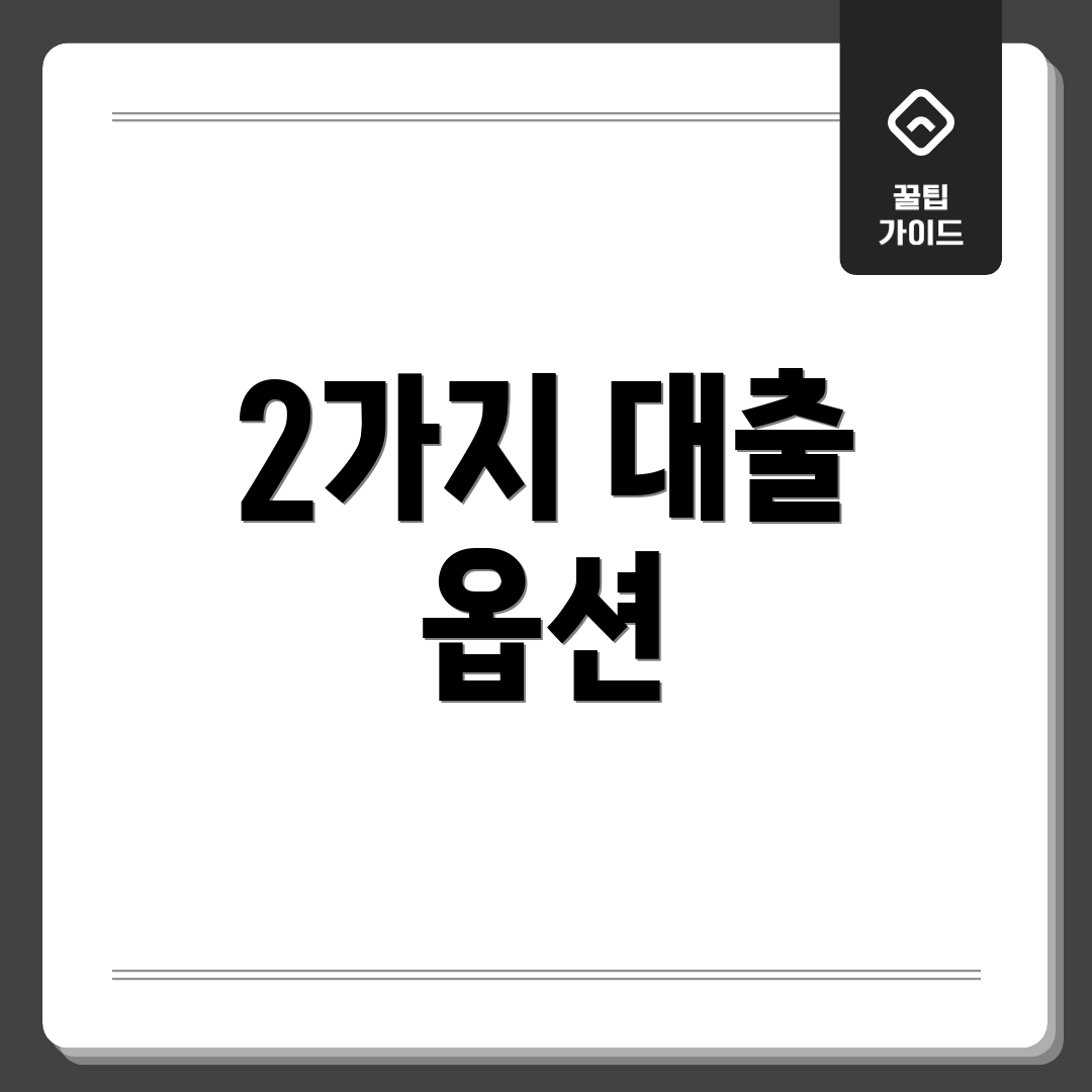 2가지 대출 옵션