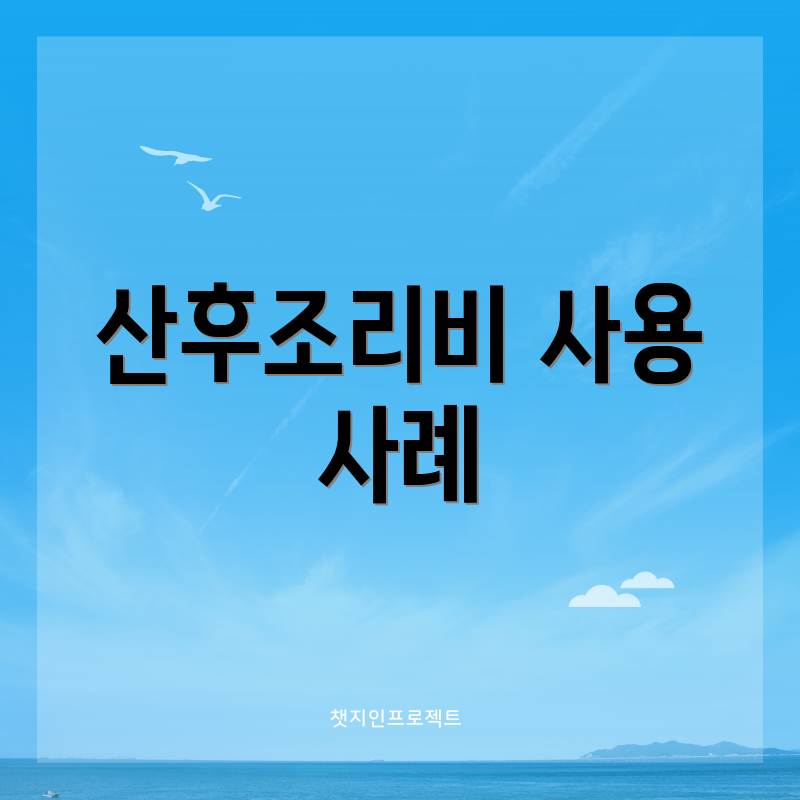 산후조리비 사용 사례