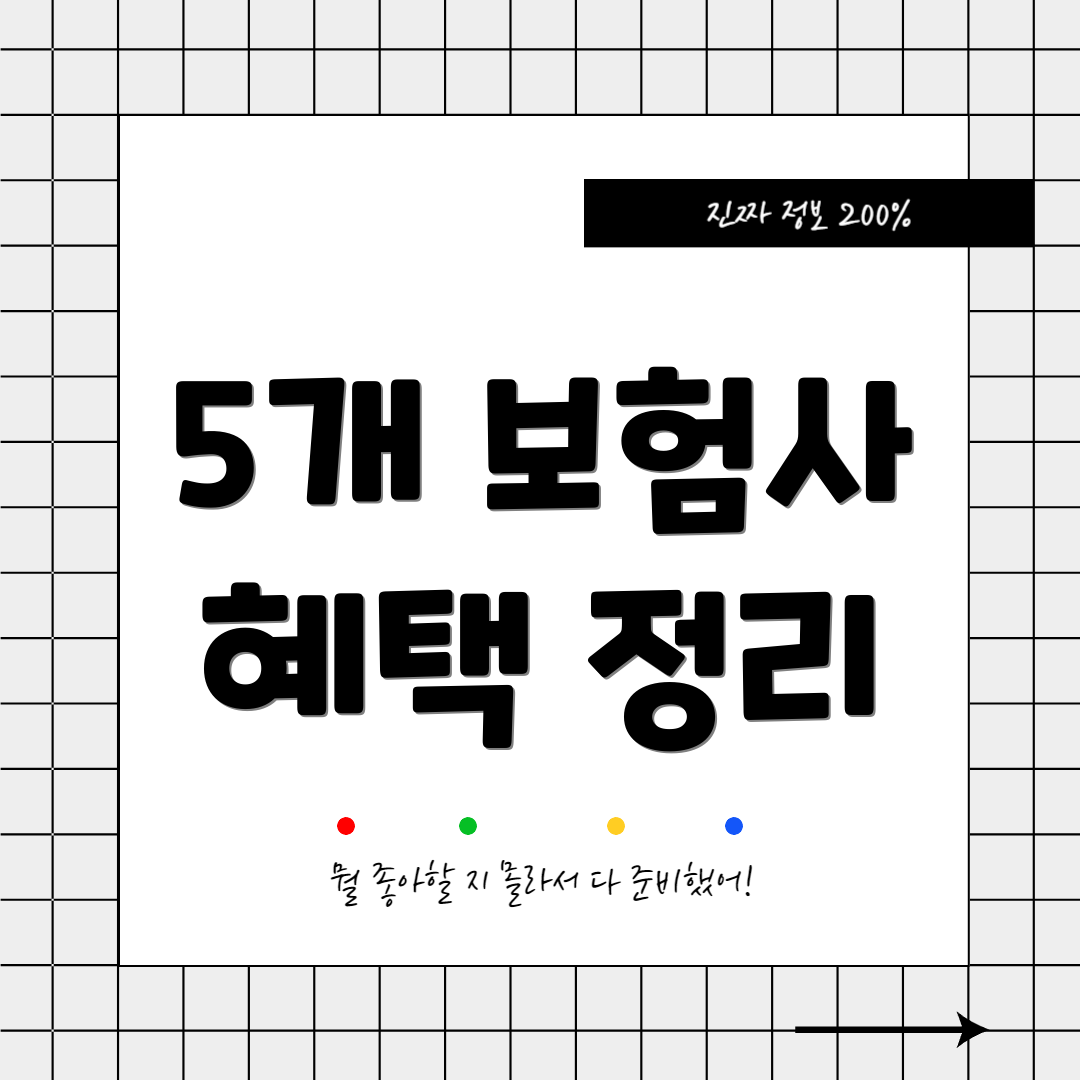 5개 보험사 혜택 정리
