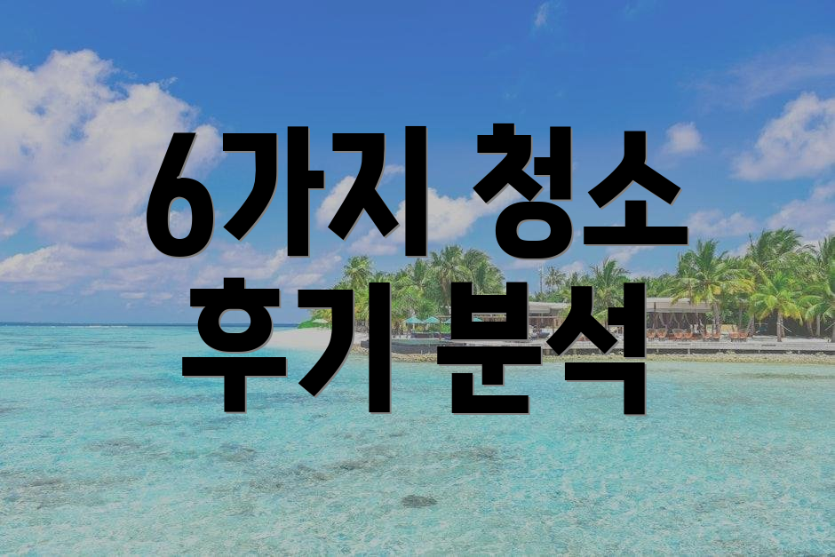 6가지 청소 후기 분석