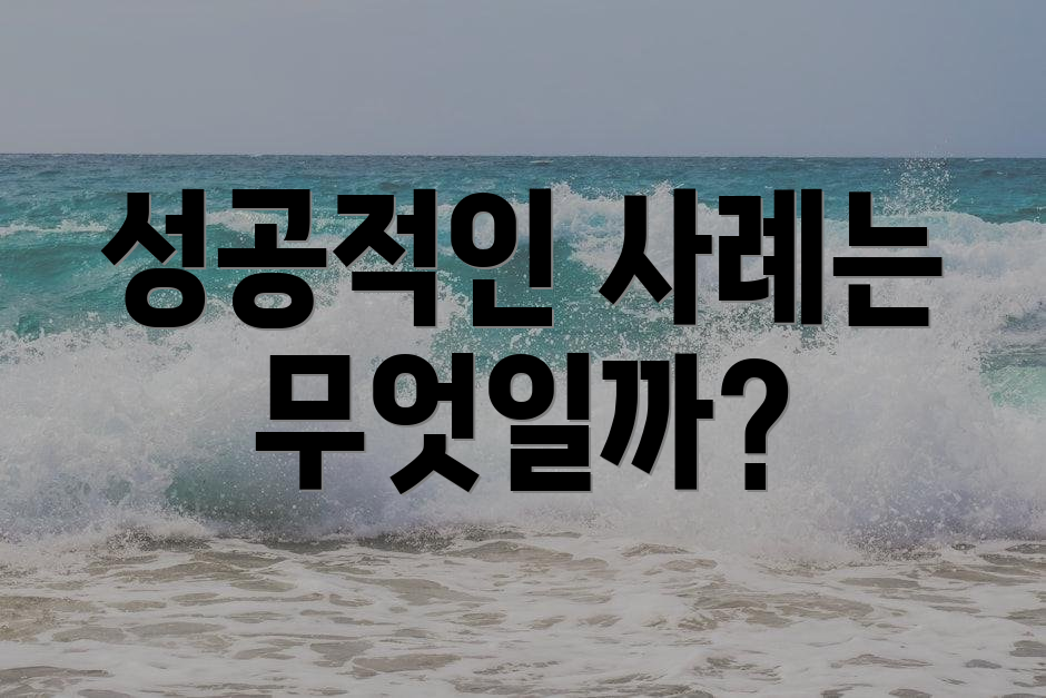 성공적인 사례는 무엇일까?