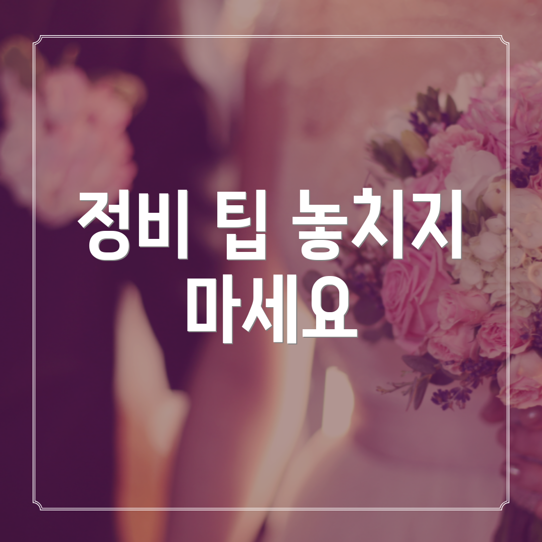 정비 팁 놓치지 마세요