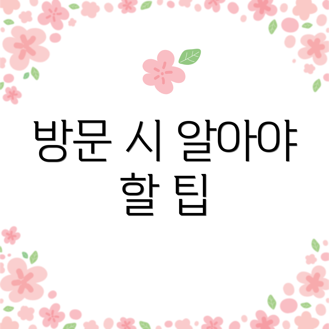 방문 시 알아야 할 팁