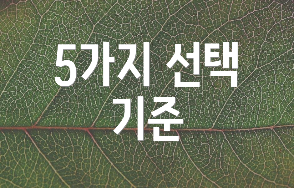 5가지 선택 기준