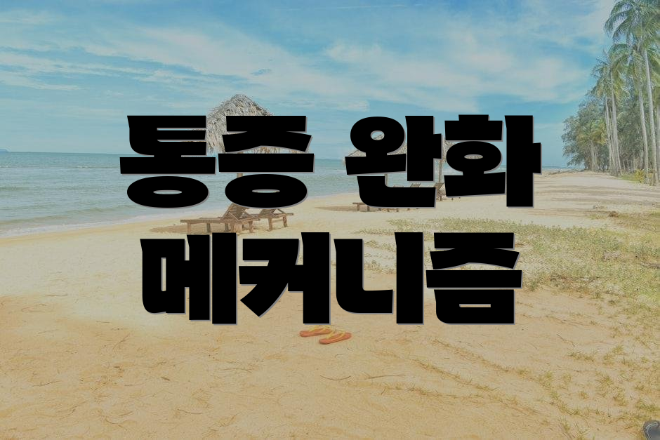 통증 완화 메커니즘