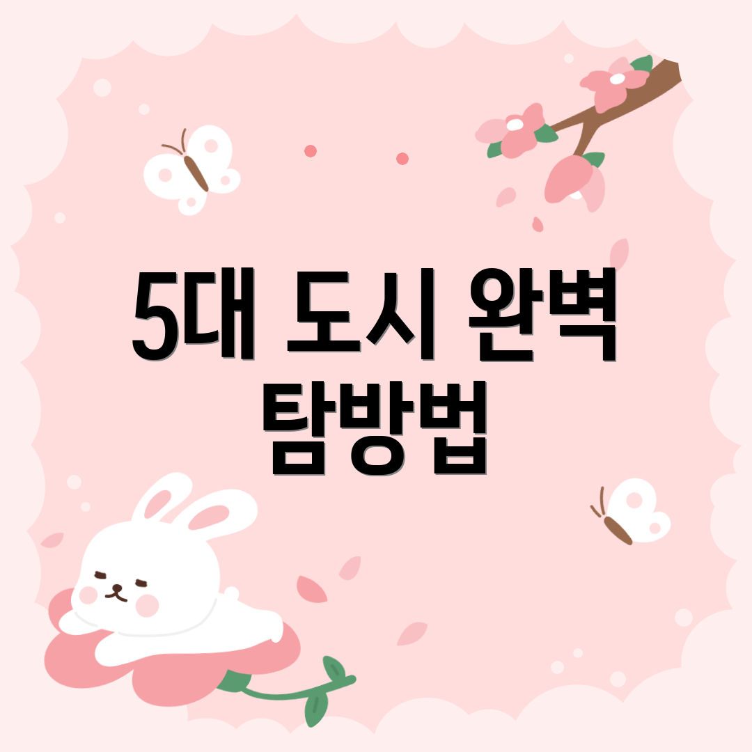 5대 도시 완벽 탐방법
