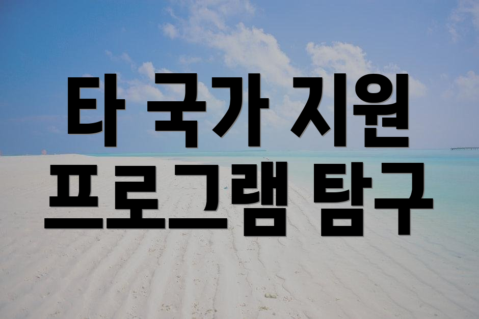 타 국가 지원 프로그램 탐구