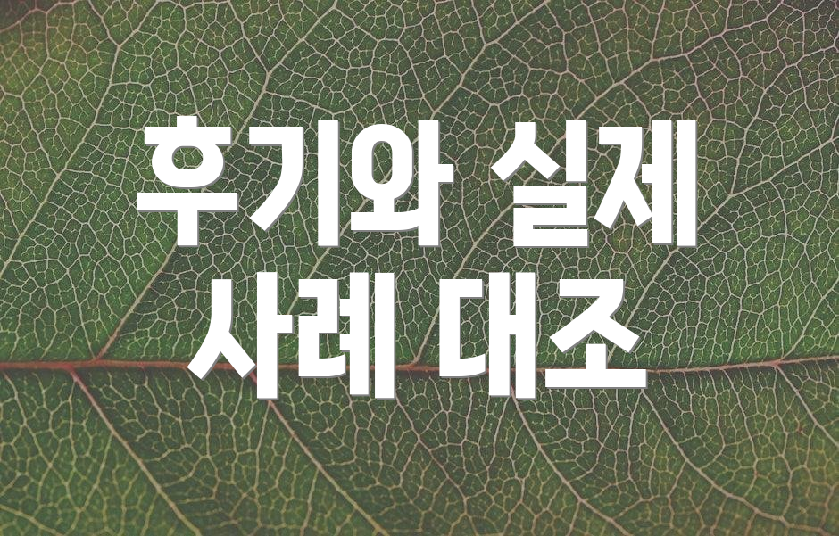 후기와 실제 사례 대조