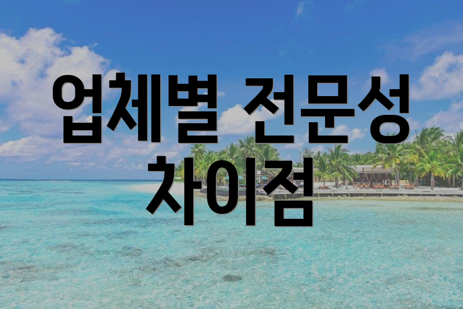 업체별 전문성 차이점