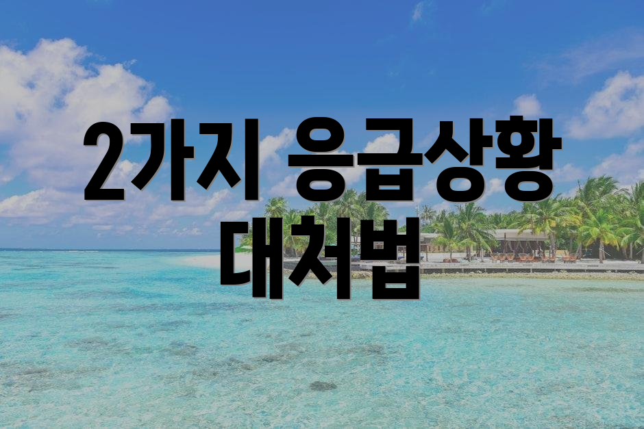 2가지 응급상황 대처법