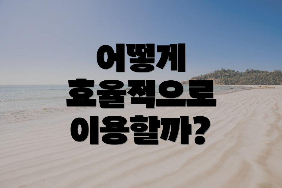 어떻게 효율적으로 이용할까?