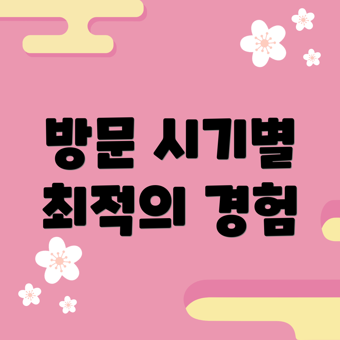 방문 시기별 최적의 경험