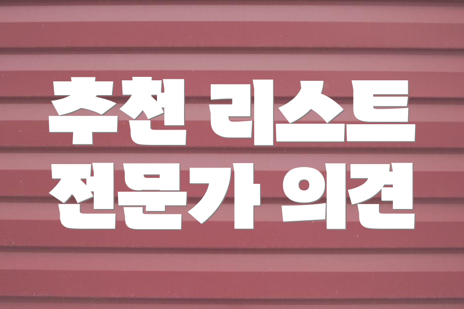 추천 리스트 전문가 의견