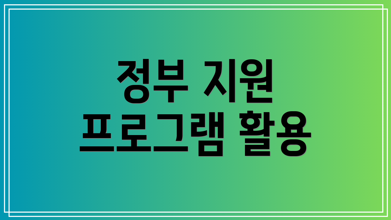 정부 지원 프로그램 활용