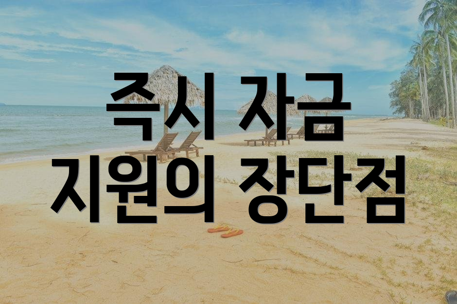 즉시 자금 지원의 장단점