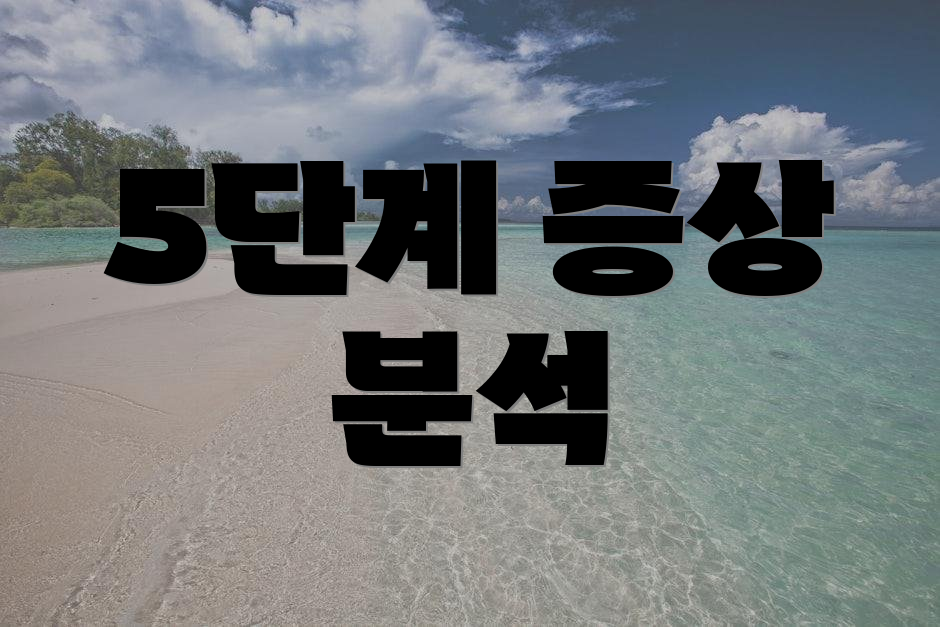 5단계 증상 분석